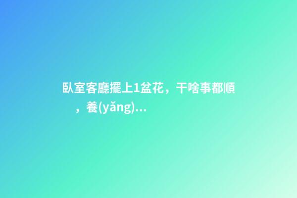 臥室客廳擺上1盆花，干啥事都順，養(yǎng)人又生財(cái)！